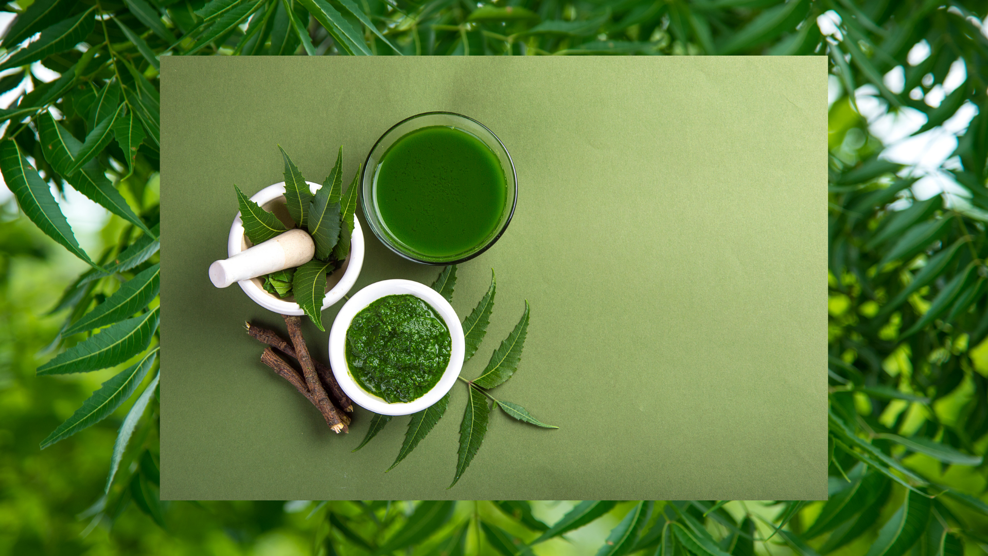 Black Illustrative Sky and Star Desktop Wallpaper